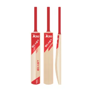 Beast T-20 edition cricket bat