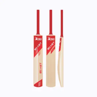 Beast T20 cricket bat