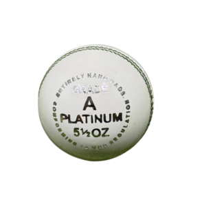 Beast Platinum Cricket Ball