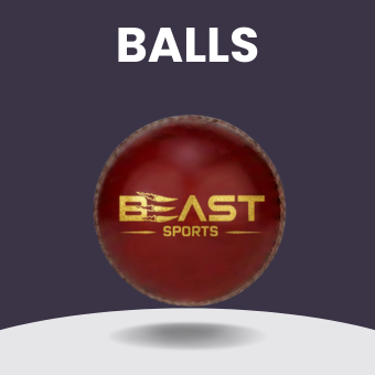 cricket leather balls